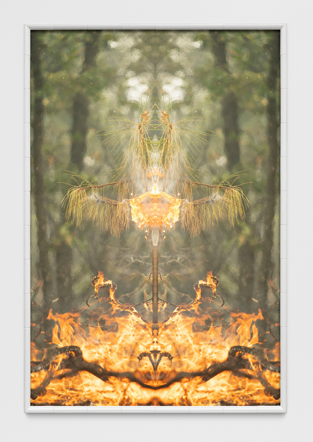 Fire with Fire (Test Apparatus #5)