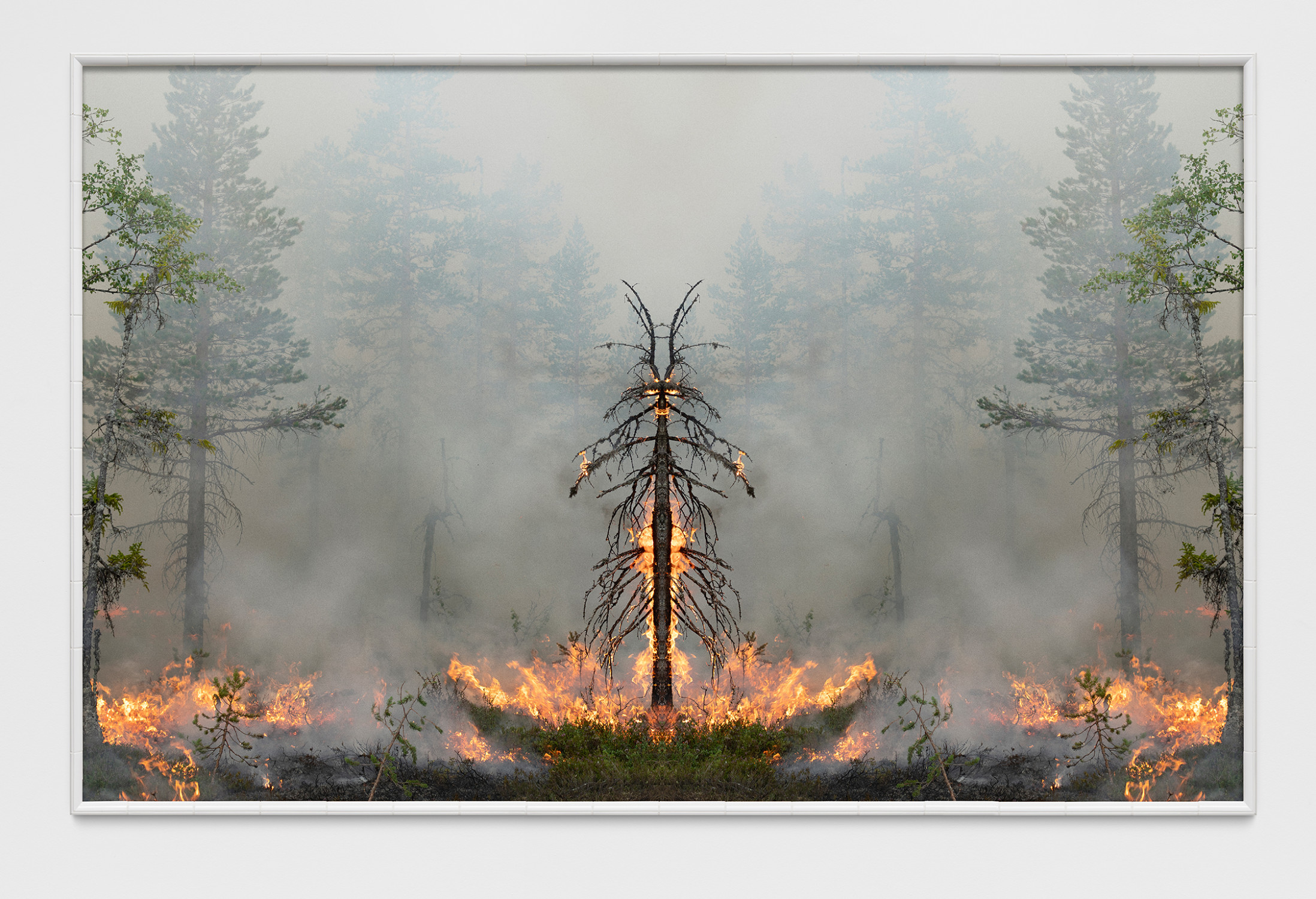 Fire with Fire (Test Apparatus #7)