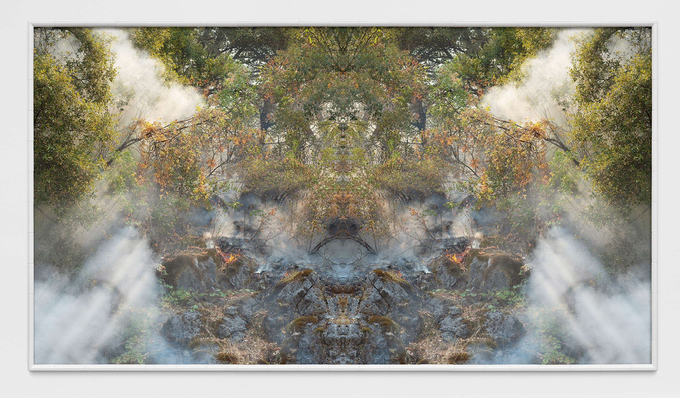 Fire with Fire (Test Apparatus #8)