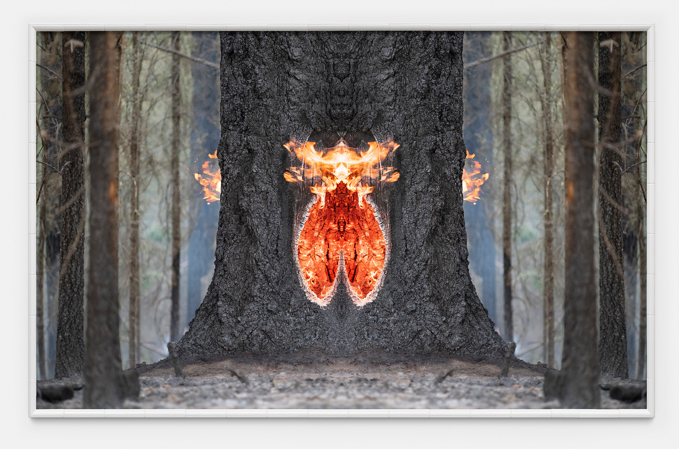 Fire with Fire (Test Apparatus #9)