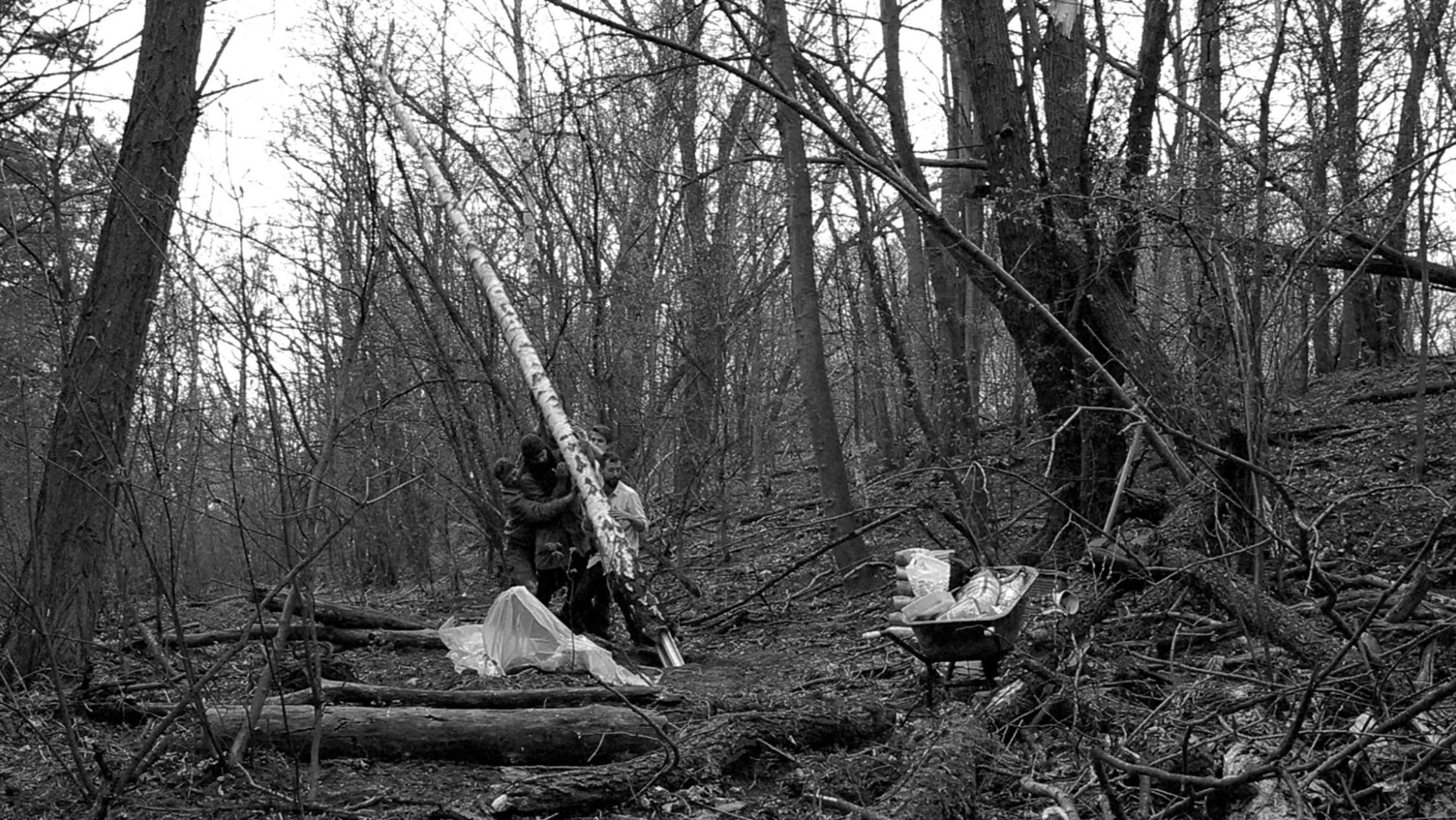 Forest Apparatus