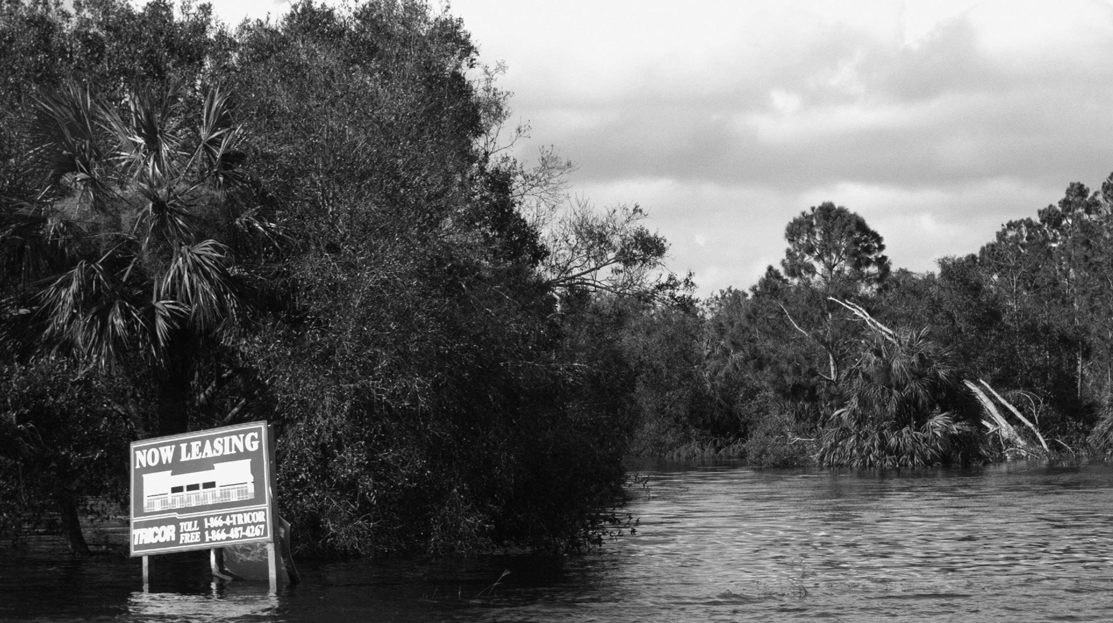 Irma To Come In Earnest