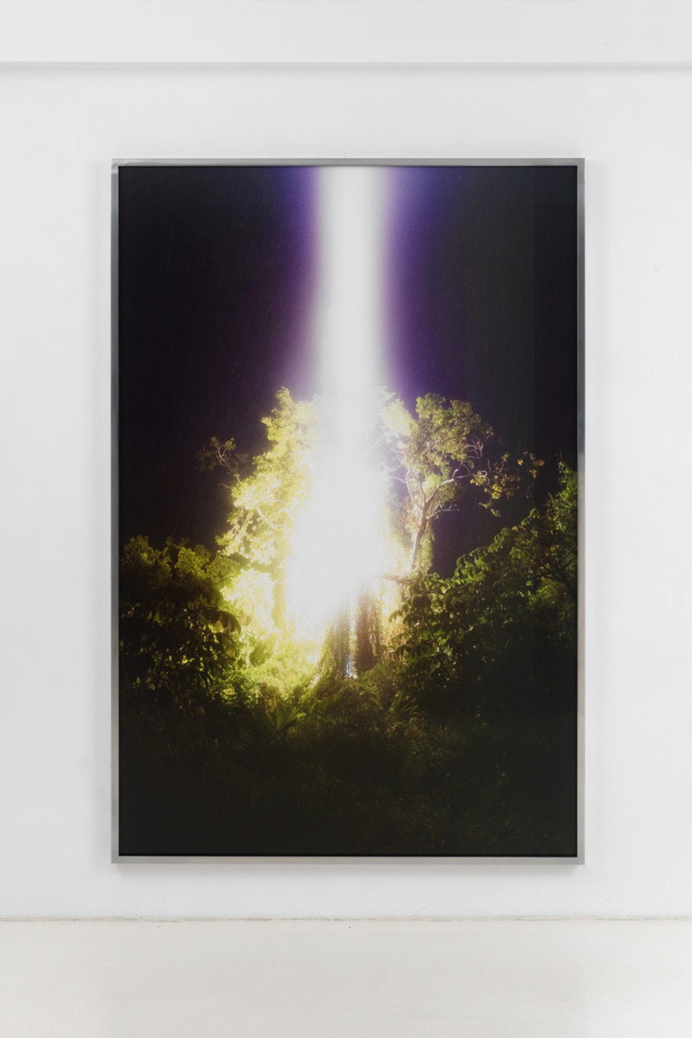 Talking to Thunder (Tree)