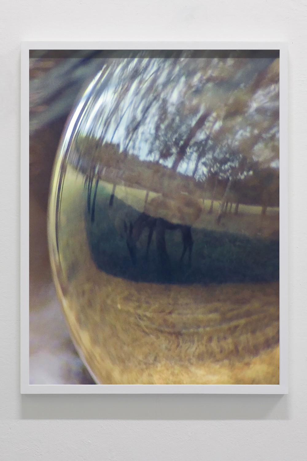Objects in Mirror Might Be Closer Than They Appear II (In collaboration with Julian Charrière)