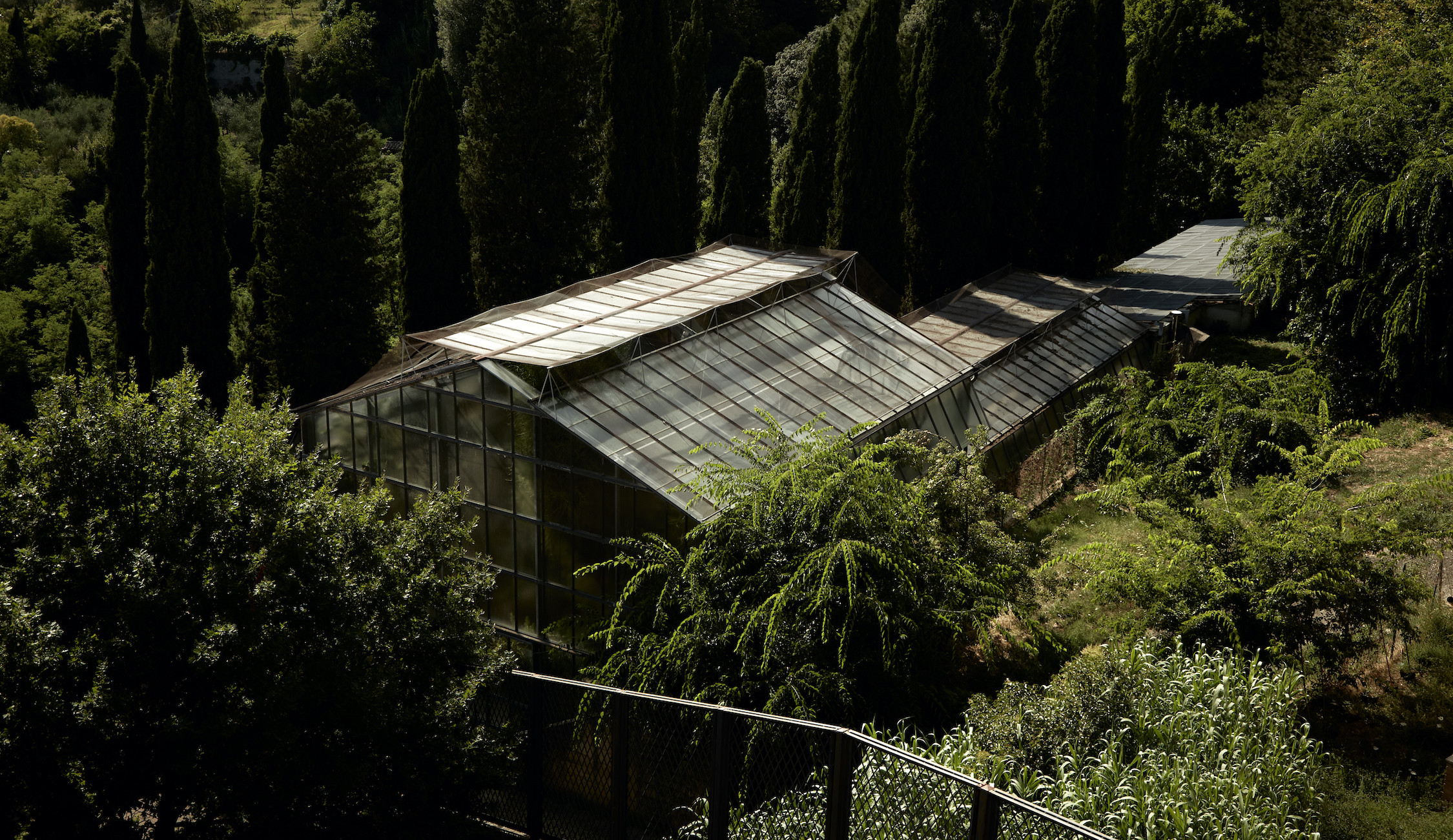 Western Monuments, 2021, botanical garden at the University of Siena, courtesy the artist and Raiden Project