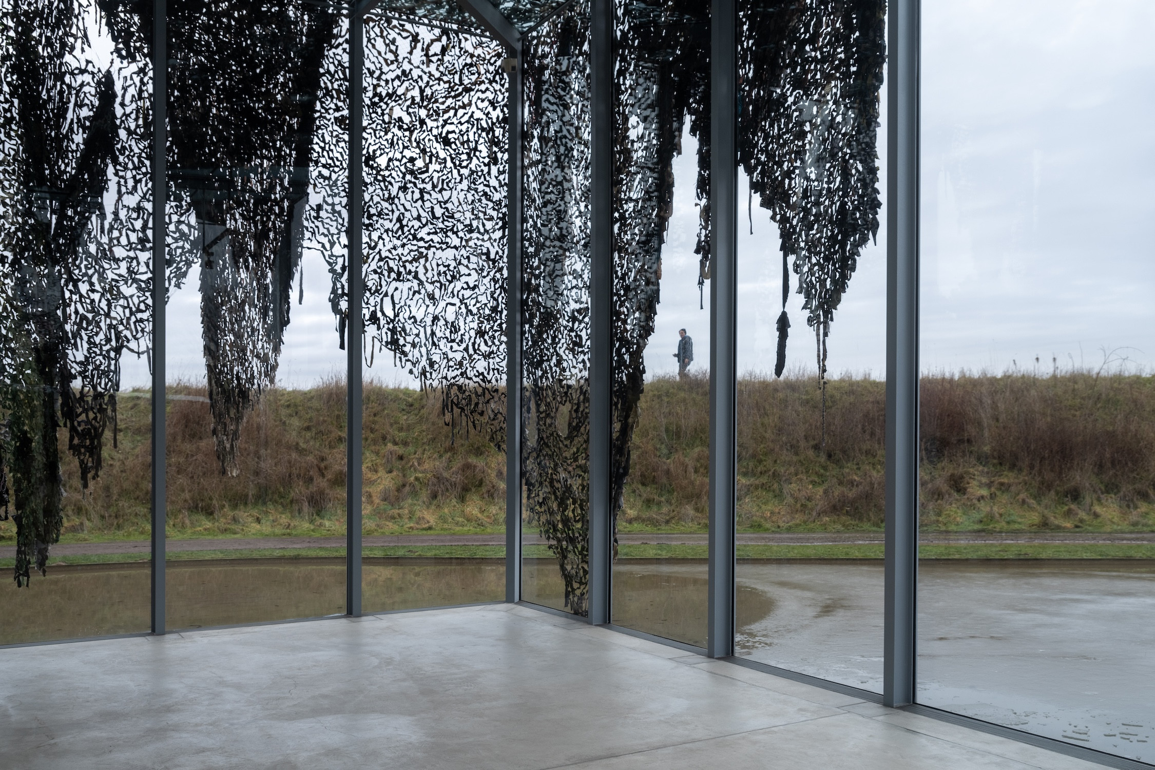 Lachen ist verdächtig (Laughing is Suspicious), Langen Foundation