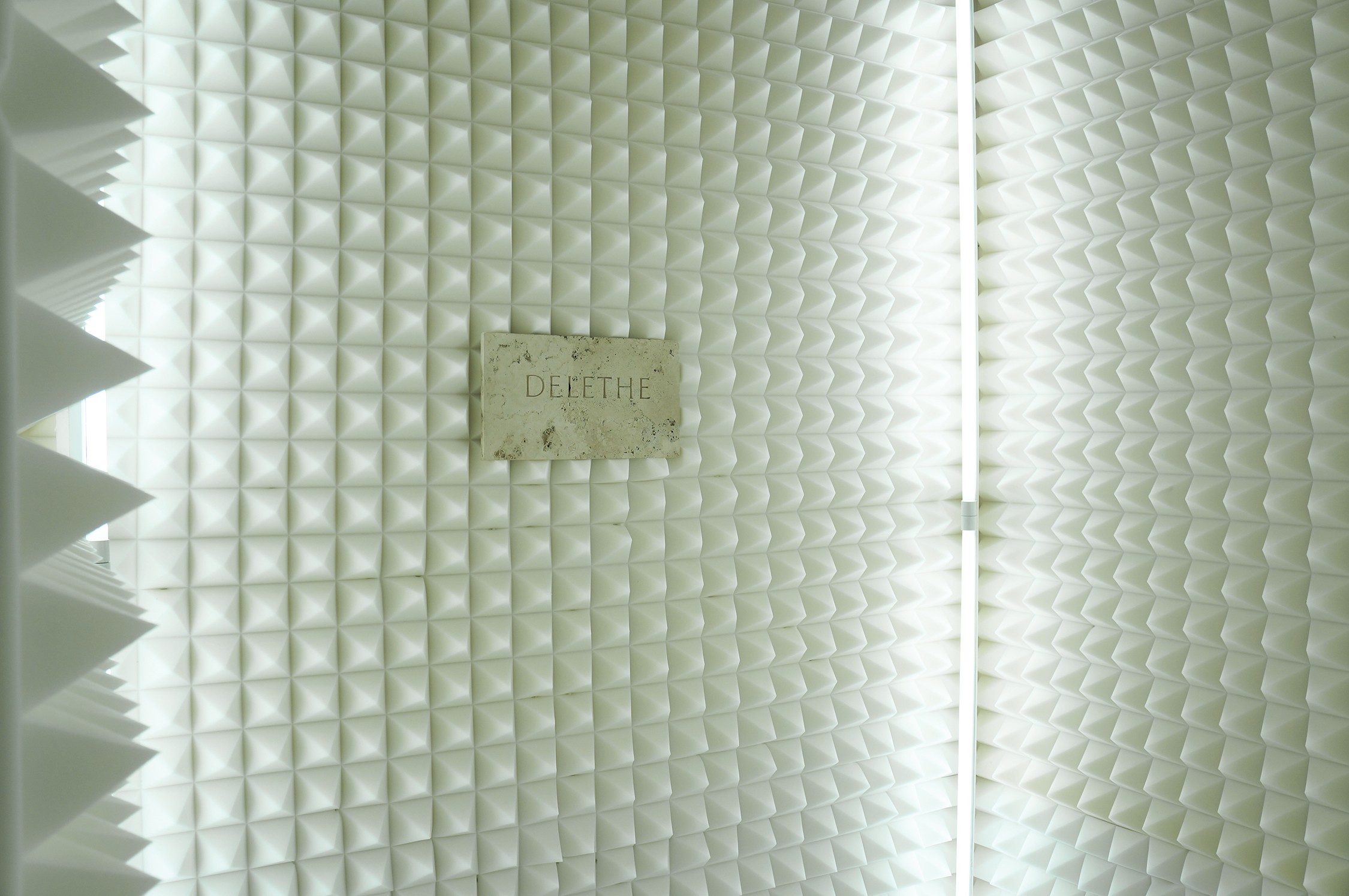 DELETHE Anechoic Chamber 