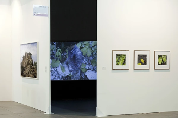 ARTISSIMA