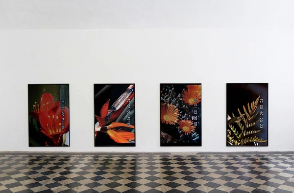 Colin Snapp at Galerie Allen, Paris