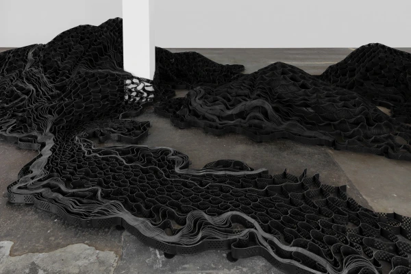 Ella Littwitz at Kunst Halle Sankt Gallen