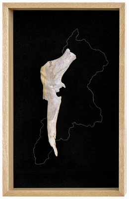 Ella Littwitz at Paradise Works