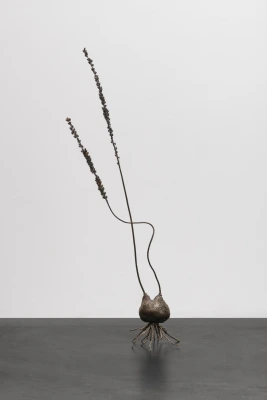 Tel Aviv Museum of Art Acquisition | Ella Littwitz