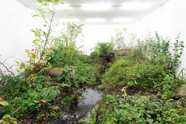 Fabian Knecht – Isolation (52°33’44.1”N 14°03’12.8”E)