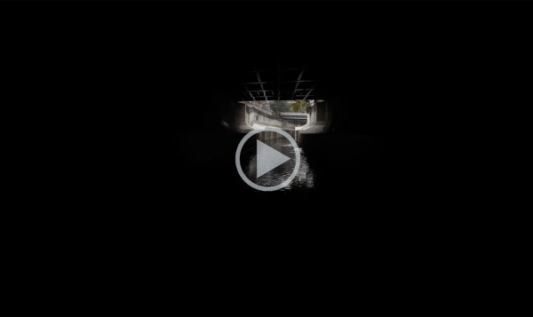 Mischa Leinkauf – Endogenous Error Terms – Online Screening