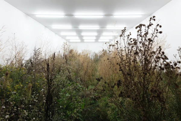 Fabian Knecht at Nuit Blanche à Nanterre