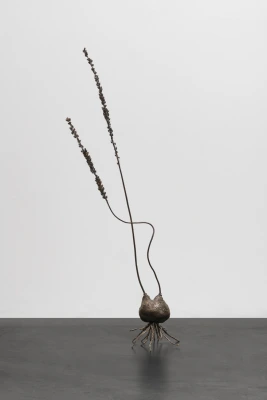 Ella Littwitz at Tel Aviv Museum of Modern Art