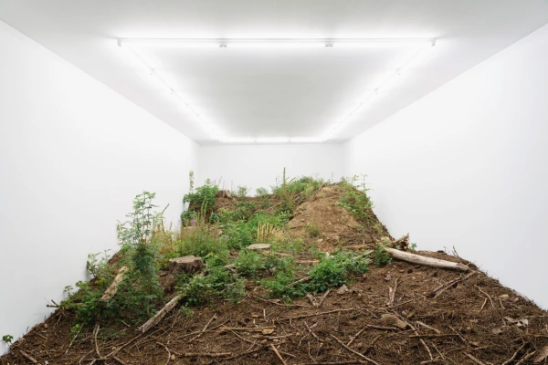 Fabian Knecht new Isolation
