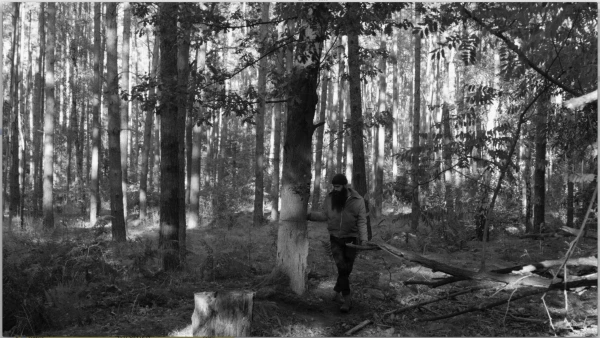 Julius von Bismarck at Adam Aronson Fine Arts Center
