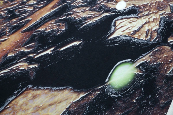 Su Yu Hsin at CCA Temporary Gallery