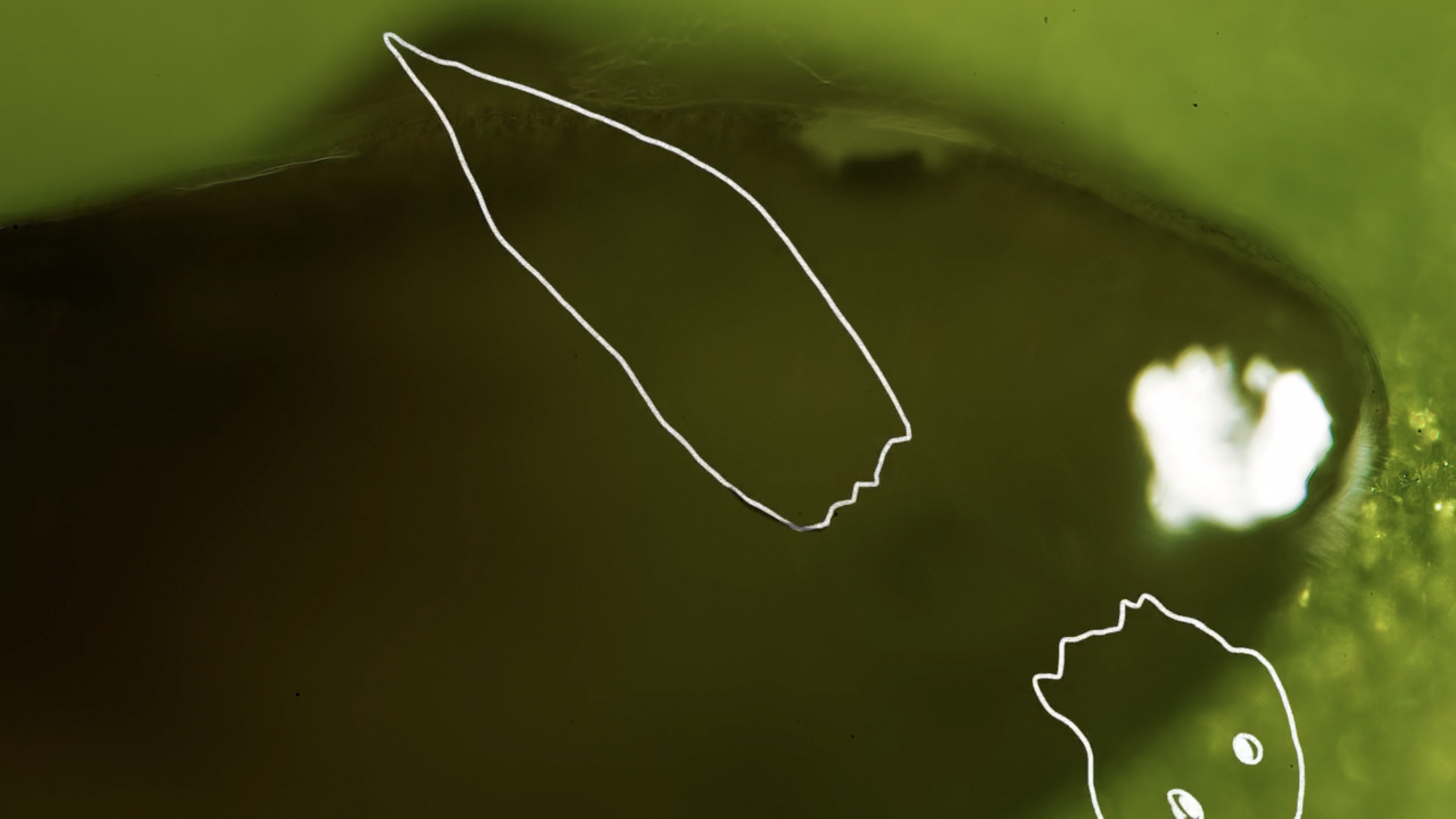 Groundwater