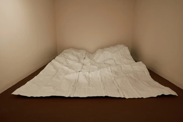 Ella Littwitz at Haifa Museum of Art