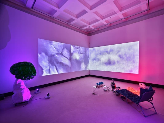 Anne Duk Hee Jordan at La Casa Encendida