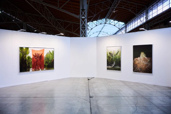 SPARK Art Fair Vienna