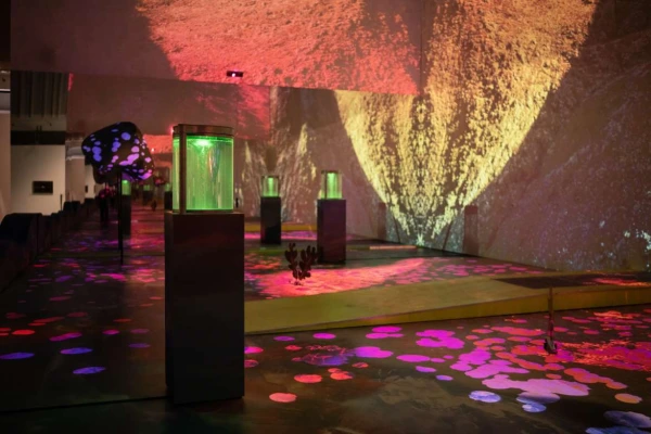 Anne Duk Hee Jordan at MIT