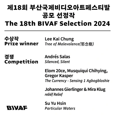 Su Yu Hsin at Busan International Video Art Festival