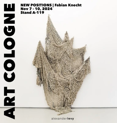 Fabian Knecht at New Positions, Art Cologne