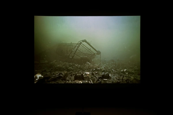 Video Room: Sonia Levy