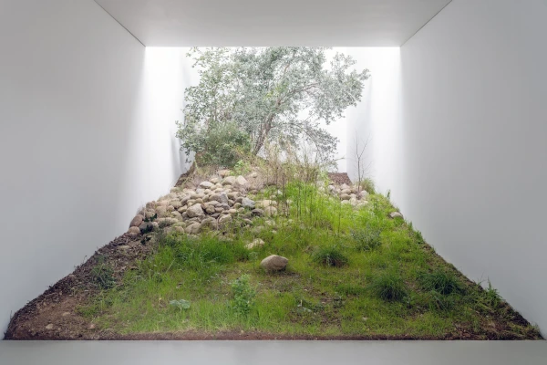 Fabian Knecht New Isolation