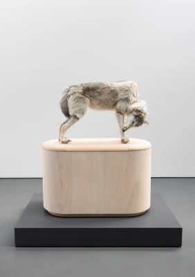 Julius von Bismarck at Garage Rotterdam